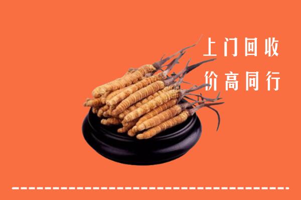 收购行情：银川市贺兰回收散虫草