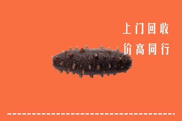 银川市贺兰回收海参
