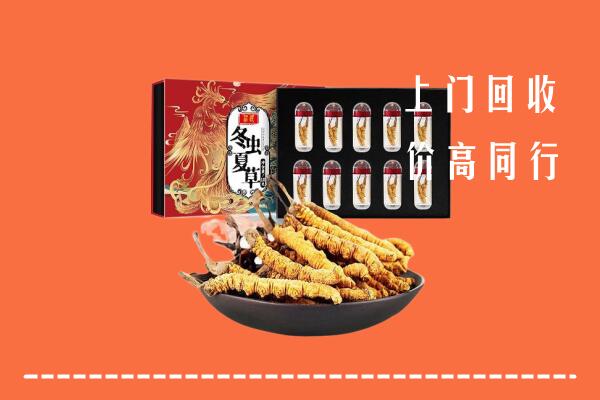 银川市贺兰回收虫草